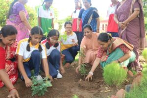 TREE PLANTATION