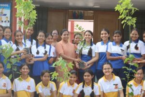 TREE PLANTATION