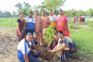 TREE PLANTATION